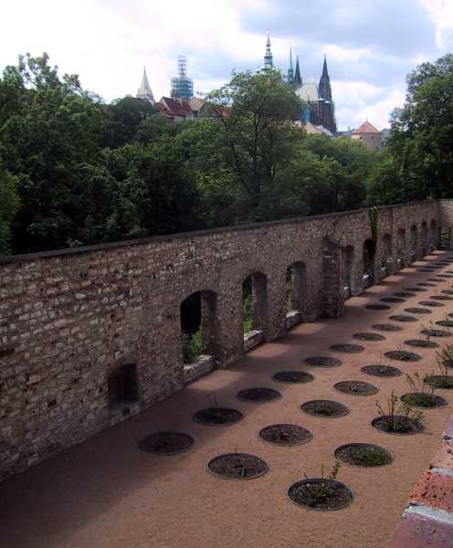 img_4519-prague_castle